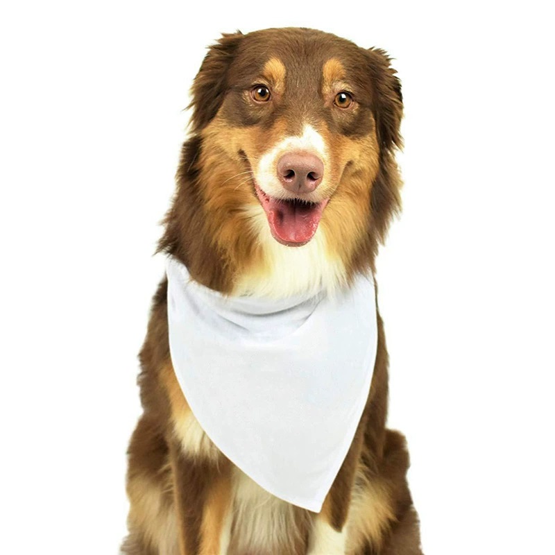 Bandana Blank White - ผ้าพันคอสุนัขสีขาวโพลีเอสเตอร์ 30 ชิ้น สำหรับสุนัขขนาดเล็ก กลาง และใหญ่