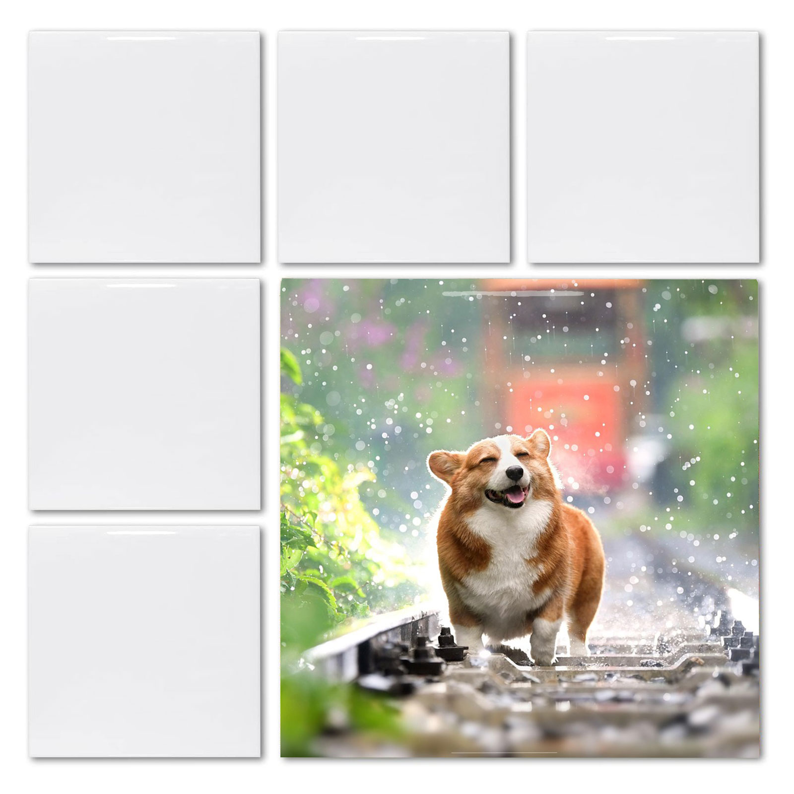 แผ่นกระเบื้องเคลือบเงาสีขาวขนา - Ceramic Tile Blank บทวิจารณ์และราคา