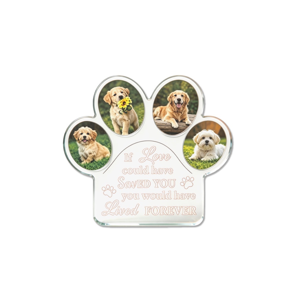 แผ่นอะคริลิกทรงอุ้งเท้าแบบ DIY - Photo Acrylic Block บทวิจารณ์และราคา